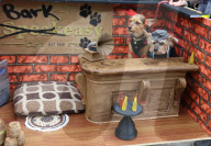 FEATURE - Halloween: Hunde Parade im Tompkins Square Park in NYC