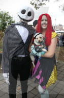 FEATURE - Halloween: Hunde Parade im Tompkins Square Park in NYC