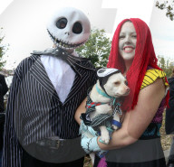 FEATURE - Halloween: Hunde Parade im Tompkins Square Park in NYC