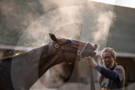 FEATURE - Pix of the Day: Bilder des Tages