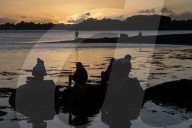 FEATURE - Pix of the Day: Bilder des Tages