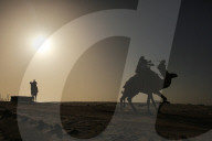 FEATURE - Pix of the Day: Bilder des Tages