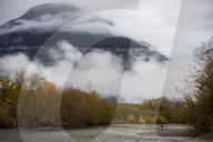 FEATURE - Pix of the Day: Bilder des Tages