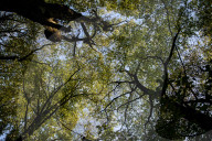 FEATURE - Herbststimmungen von David Levene