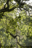 FEATURE - Herbststimmungen von David Levene