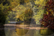 FEATURE - Herbststimmungen von David Levene