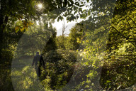 FEATURE - Herbststimmungen von David Levene
