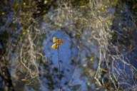 FEATURE - Herbststimmungen von David Levene