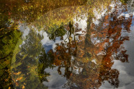FEATURE - Herbststimmungen von David Levene