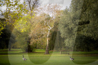 FEATURE - Herbststimmungen von David Levene