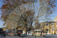 FEATURE - Herbststimmungen von David Levene