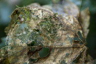 FEATURE - Herbststimmungen von David Levene