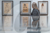 NEWS - Wien: Klimt und Schiele Ausstellung in der Albertina