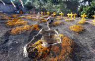 FEATURE - Pix of the Day: Bilder des Tages