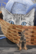FEATURE - Pix of the Day: Bilder des Tages