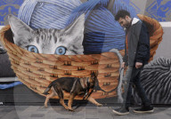 FEATURE - Pix of the Day: Bilder des Tages