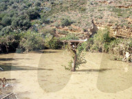 NEWS - Italien: Tote bei Ãœberschwemmungen auf Sizilien