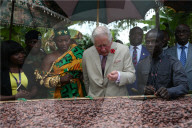 PEOPLE - Charles besucht eine Kakao Farm in Ghana