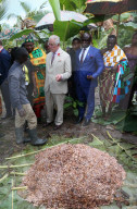 PEOPLE - Charles besucht eine Kakao Farm in Ghana