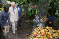 PEOPLE - Charles besucht eine Kakao Farm in Ghana