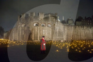 FEATURE - Pix of the Day: Bilder des Tages