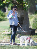 EXKLUSIV - Josie Rosen führt ihren Hund Gassi in LA