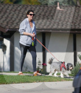 EXKLUSIV - Josie Rosen führt ihren Hund Gassi in LA