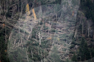 NEWS -  Italien: Aufräumen nach dem Sturm bei Belluno