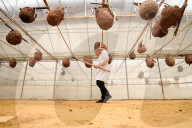 FEATURE - Pix of the Day: Bilder des Tages