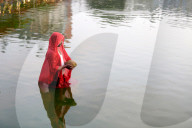 FEATURE - Pix of the Day: Bilder des Tages
