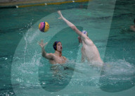 FEATURE - Pix of the Day: Bilder des Tages