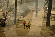 FEATURE - Pix of the Day: Bilder des Tages