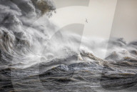 FEATURE - Welches dieser Bilder ist das Naturfoto des Jahres ?