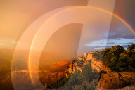FEATURE - Welches dieser Bilder ist das Naturfoto des Jahres ?