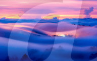 FEATURE - Welches dieser Bilder ist das Naturfoto des Jahres ?