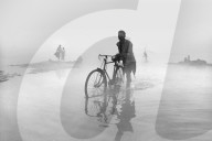 FEATURE - Welches dieser Bilder ist das Naturfoto des Jahres ?