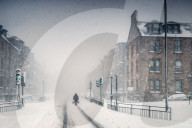 FEATURE - Welches dieser Bilder ist das Naturfoto des Jahres ?