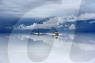FEATURE - Welches dieser Bilder ist das Naturfoto des Jahres ?