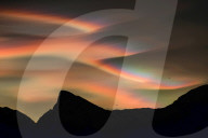 FEATURE - Welches dieser Bilder ist das Naturfoto des Jahres ?