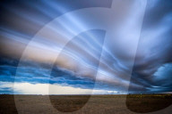 FEATURE - Welches dieser Bilder ist das Naturfoto des Jahres ?