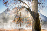 FEATURE - Welches dieser Bilder ist das Naturfoto des Jahres ?