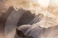 FEATURE - Welches dieser Bilder ist das Naturfoto des Jahres ?