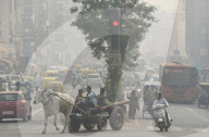 NEWS - Smog in Indien