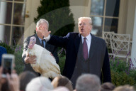 NEWS - Washington: Trump begnadigt einen Truthahn zu Thanksgiving 