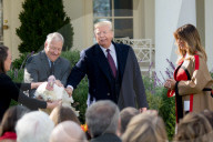 NEWS - Washington: Trump begnadigt einen Truthahn zu Thanksgiving 