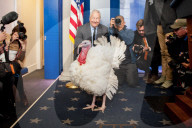 NEWS - Washington: Trump begnadigt einen Truthahn zu Thanksgiving 