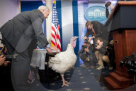 NEWS - Washington: Trump begnadigt einen Truthahn zu Thanksgiving 