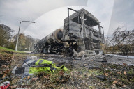 FEATURE - Pix of the Day: Bilder des Tages