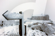 FEATURE - Pix of the Day: Bilder des Tages