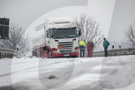 FEATURE - Pix of the Day: Bilder des Tages